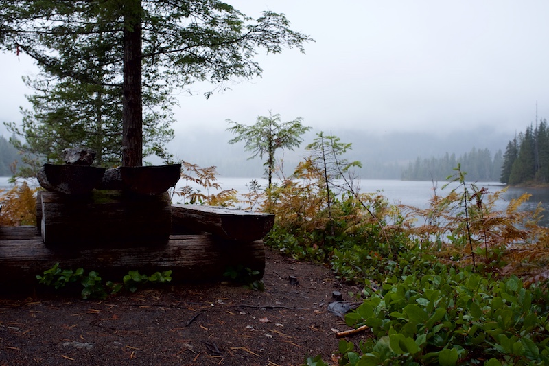 Picnic table and campsite on Lewis Lake