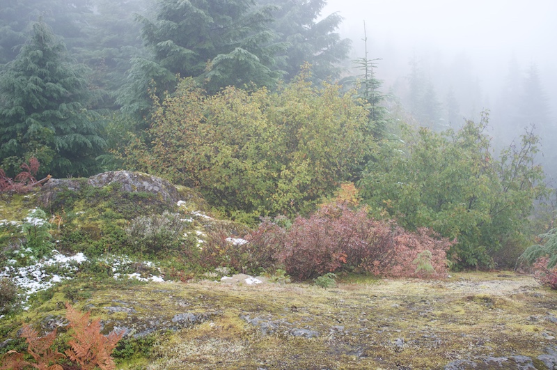 Near the top of tinhat mountain; wee bit of snow