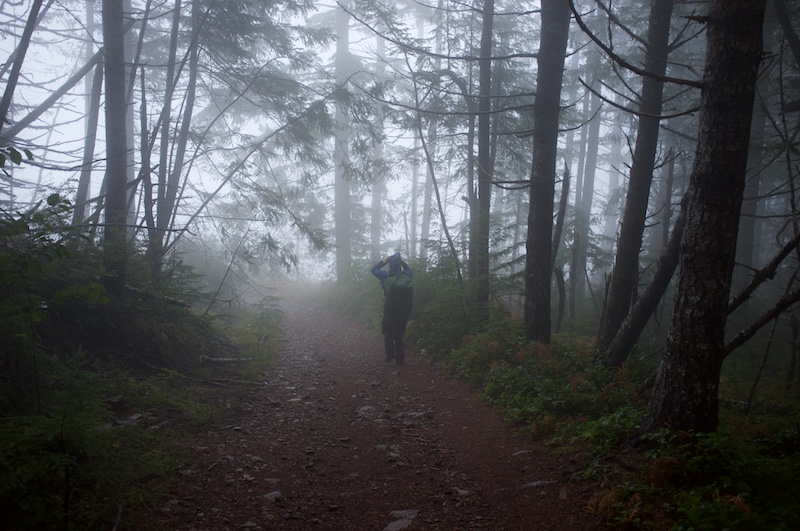 Heading down tinhat mtn, south of fiddlehead turnoff