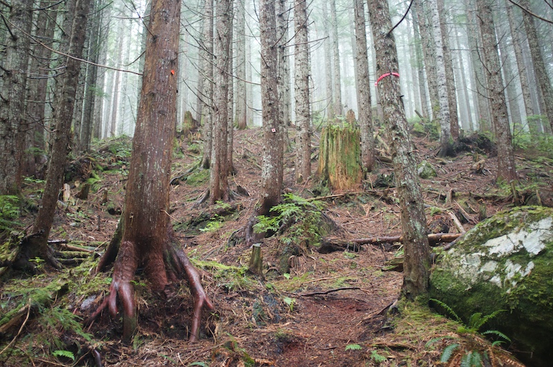 uphill to Elk Lake
