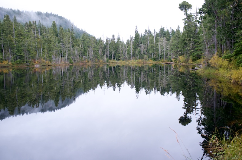 Coyote Lake