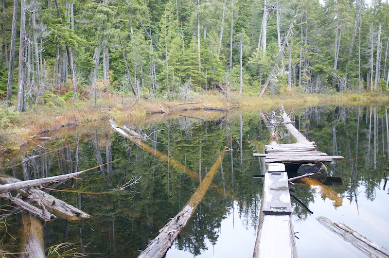 Coyote Lake dock