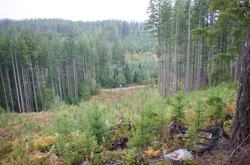 the truck sighted, below the cut block