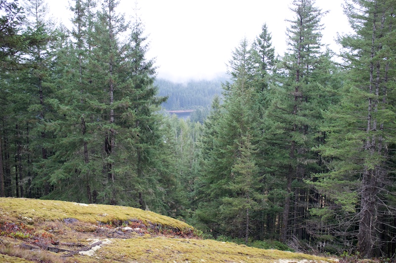 view from Smoky Smith Bench